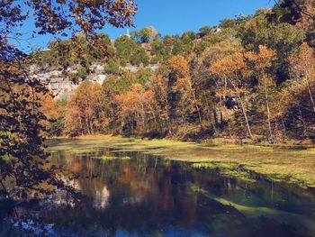 Reflection of trees in calm lake