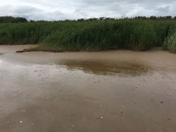 Scenic view of land against sky