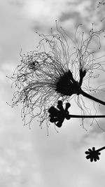 Low angle view of trees against cloudy sky