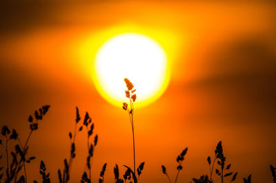 Sun shining through clouds