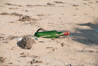 A very beautiful beach is destroyed by the dirt we throw in the ocean