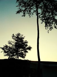 Silhouette of bare trees against sky at sunset