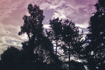 Low angle view of trees against cloudy sky