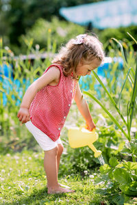 A little smiling girl is watering a strawberry bush in the garden from a children's toy watering 