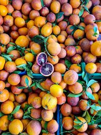 Full frame shot of fruits for sale in market