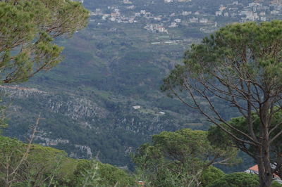 Aerial view of landscape