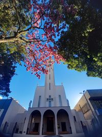 Low angle view of trees and buildings against sky