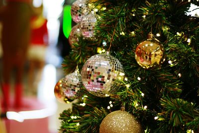 Close-up of christmas tree