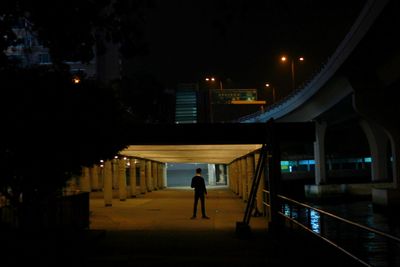 Rear view of man walking on illuminated city at night