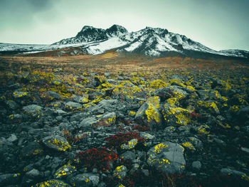 Scenic view of snowcapped mountains against sky