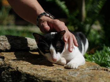 Midsection of man with cat