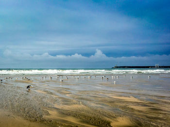 View of people on beach against sky