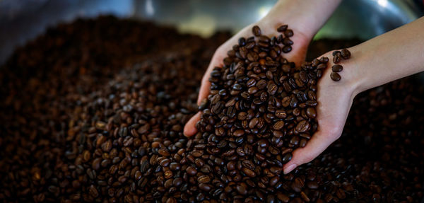 Coffee bean processed on holding hand close up and selective focus