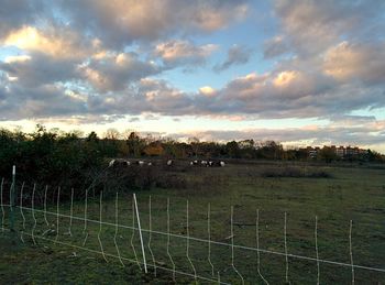 Fence on field against cloudy sky