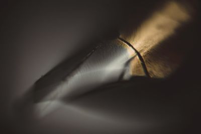 Close-up of feather on bed