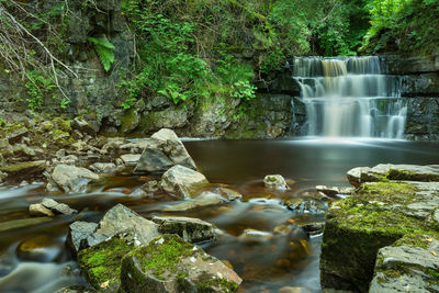 Scenic view of waterfall in forest