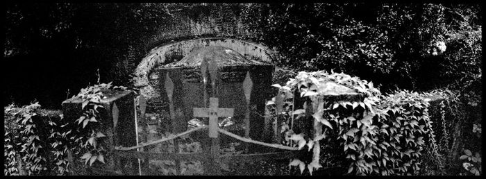 Panoramic shot of building and trees in cemetery