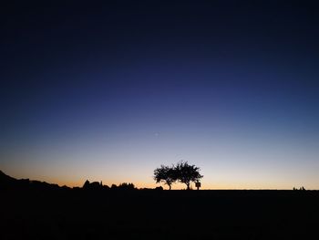 Silhouette trees on field against clear sky during sunset