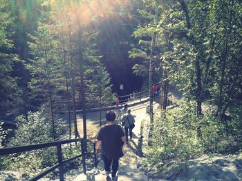 Rear view of woman walking on footpath in forest
