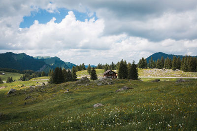 Scenic view of field against sky