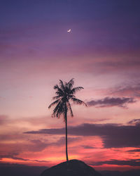 Low angle view of silhouette coconut palm tree against sky at sunset