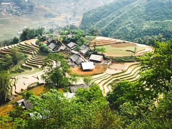 High angle view of houses and trees on field