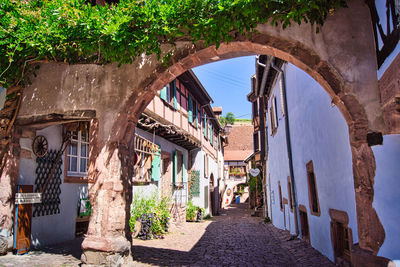 Narrow alley amidst buildings in city