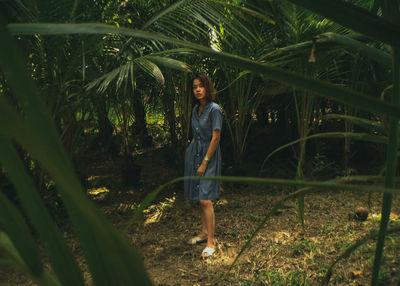 Portrait of smiling young woman standing on tree