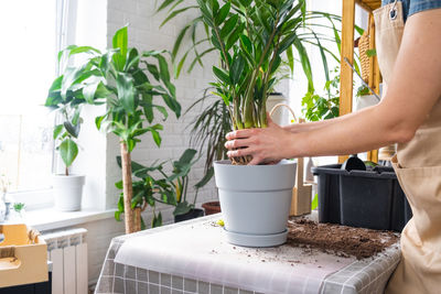 Midsection of woman holding potted plant