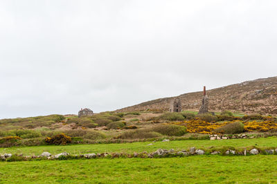 Scenic view of grassy field against sky