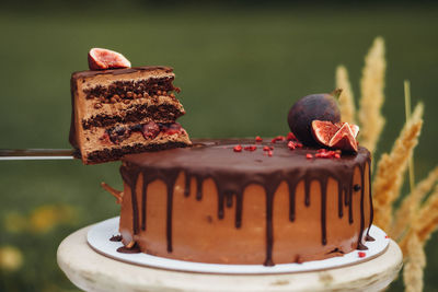 Close-up of cake