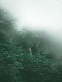 Scenic view of landscape against sky during foggy weather