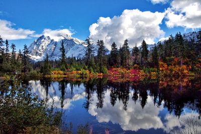 Scenic view of lake by trees against sky