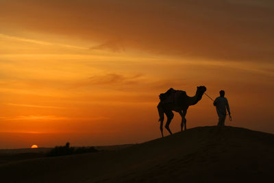 Silhouette people riding horse in desert during sunset