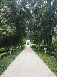 Road amidst trees in park