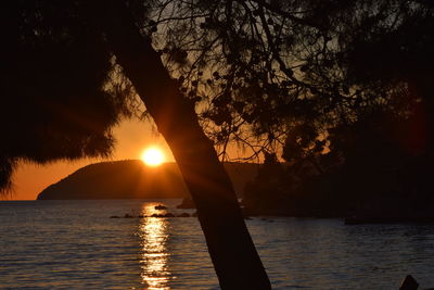 Silhouette trees by lake against sky during sunset