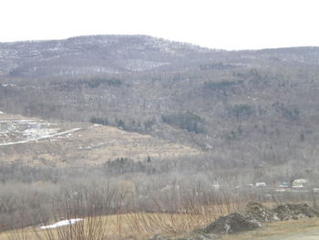 Scenic view of landscape against clear sky