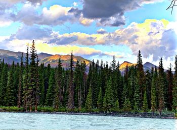 Scenic view of lake by trees against sky