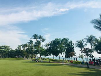 Palm trees on golf course against sky