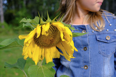 Blond girl holding a sunflower. summer holiday. crop view of a girl. yellow sunflower. forest walk. 