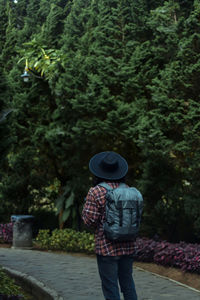 Rear view of woman standing by plants against trees