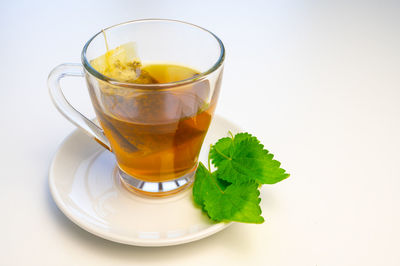 Nettle infusion in transparent cup, a sachet in water, a white saucer  and nettle leaves. 