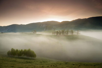 Scenic view of landscape against sky during foggy weather