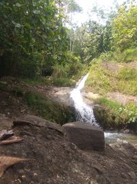 Stream flowing through rocks in forest