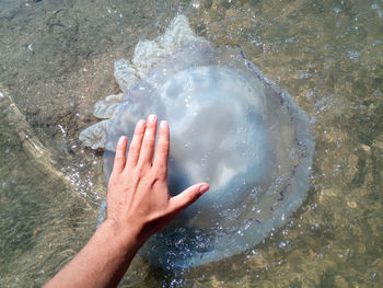 High angle view of hand on sea shore