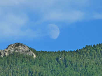 Scenic view of green landscape against blue sky