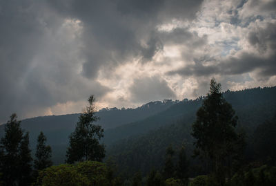 Scenic view of trees and mountains against sky