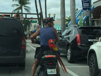 Man working on street in city