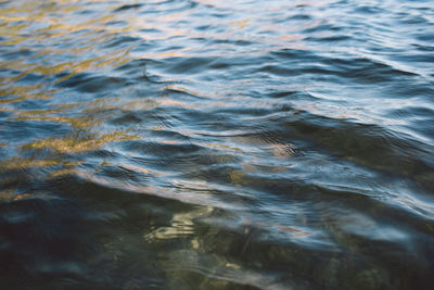 Full frame shot of swimming in sea