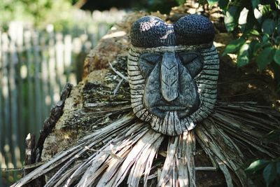 Close-up of statue